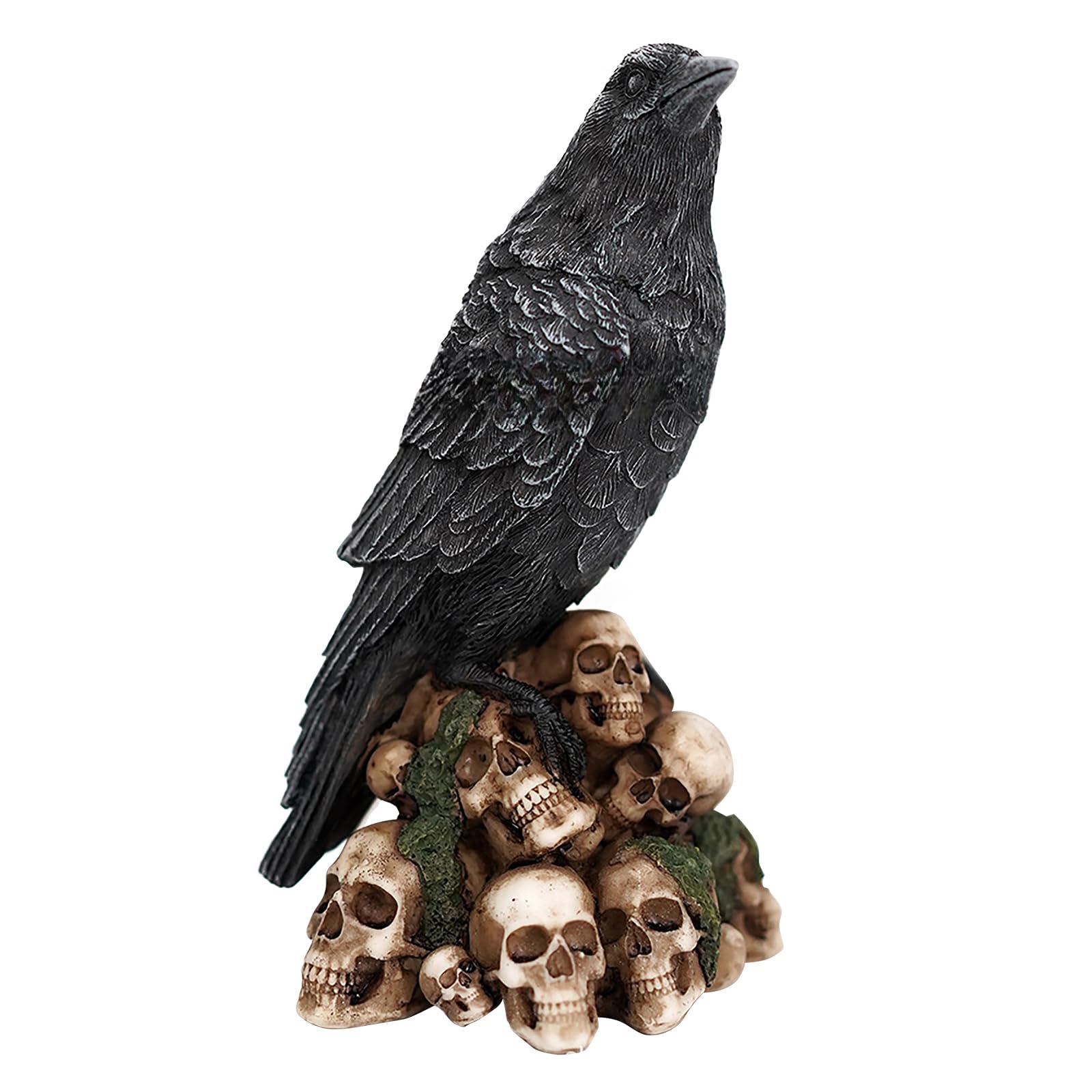 RUIXIA Mystical Skull Animal Resin Statues Raven and Black Cat on Skull Craft Statue Macabre Resin Figurine Gothic Crow on Skeleton Sculpture Halloween Decor