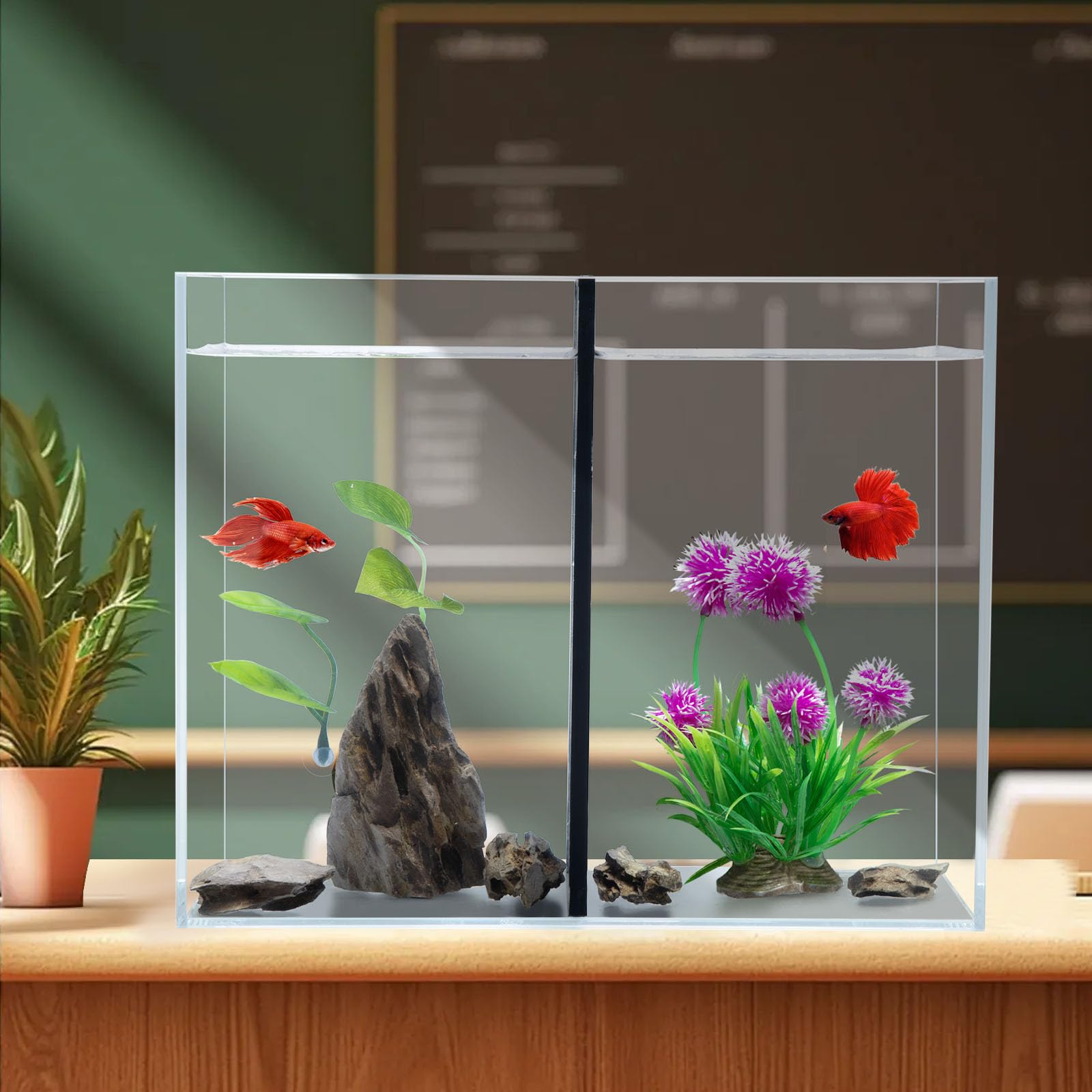 Photo 1 of 3 Gallon Betta Fish Tank with Divider, Small Aquarium, Fits 2 Bettas, 1.5 Gallon *2 Rooms.(Divider not Removable)