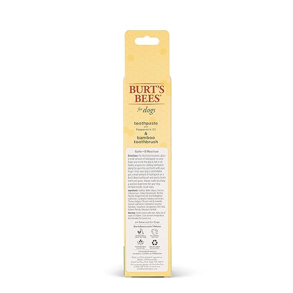 BURT’S BEES FOR PETS NATURALLY DERIVED ORAL CARE KIT DOG DENTAL KIT WITH TOOTHPASTE & BAMBOO TOOTHBRUSH DOG TOOTHBRUSH AND TOOTHPASTE WITH HONEYSUCKLE & PEPPERMINT OIL, FRESH MINT FLAVOR (2.5 OZ)