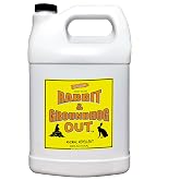 Rabbit &amp; Groundhog Repellent: Rabbit Out 1 Gallon Ready-to-Use- (Refill) | * Sprayer NOT Included *, Rabbit Repellent, Keeps Rabbits From Eating Your Plants