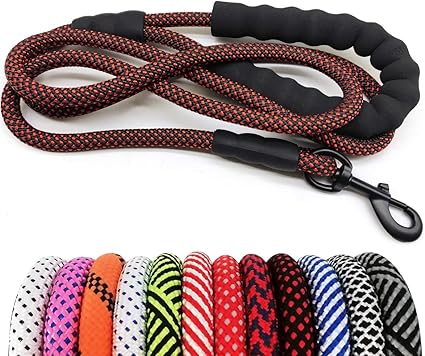 thick braided dog leash