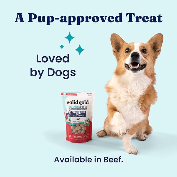 SOLID GOLD FREEZE DRIED DOG FOOD – W/REAL BEEF, PUMPKIN & SUPERFOODS – FREEZE DRIED RAW DOG FOOD TOPPERS FOR PICKY EATERS TO SERVE AS A NUTRIENT-DENSE MEAL TOPPER OR HIGH PROTEIN TREATS – 1.5OZ