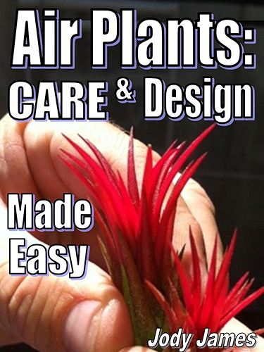 Download Air Plants: Care and Design Made Easy (English Edition) PDF