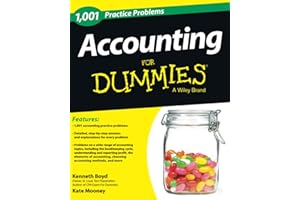 1,001 Accounting Practice Problems For Dummies