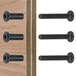 Xrfoiniu 100 Sets Bolt Set - M6x40mm Black Metal