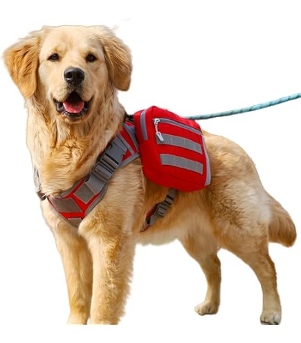 Dog Packs For Hiking