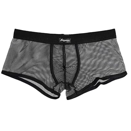 AMUSTER Männer Sexy Dessous Unterwäsche Herren Transparente Wetlook Slips G-Strings Tanga Erotik Reizwäsche Unterhosen Mesh Netz Boxershorts Bikini Unterwäsche