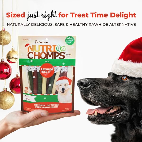 NUTRICHOMPS DOG CHEWS, 5 INCH STICKS, MINT FLAVOR, 15 COUNT, EASY TO DIGEST, RAWHIDE FREE, HOLIDAY STOCKING STUFFER TREATS, CHRISTMAS GIFT FOR DOGS