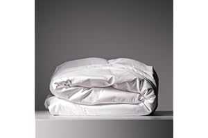 CASILVA Eucalyptus Duvet Cover - Infused with Silver for Anti-Odor, Softer Than Silk Fibers, More Cooling Than Cotton - Perfect for Hot Sleepers & Sensitive Skin - 100% Tencel Lyocell - Full/Queen Size