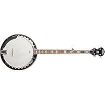 Washburn Americana B10, Banjo