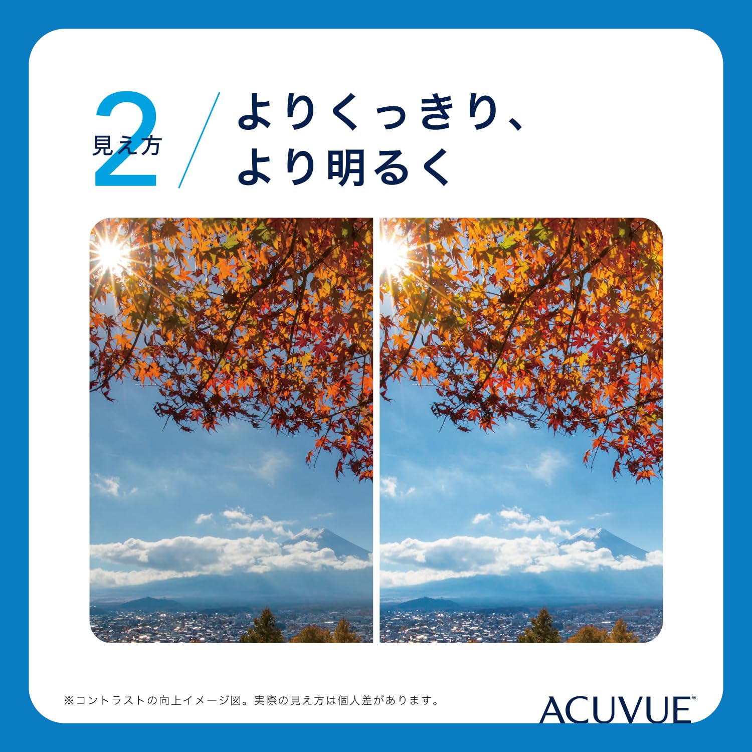 One Day Accubue Oasis [BC] 9.0 [PWR] -3.50, 90 Sheets