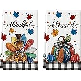 Artoid Mode Buffalo Plaid Turkey Thanksgiving Kitchen Towels Dish Towels, 18x26 Inch Fall Leaves Pumpkin Decoration Hand Towels Set of 2
