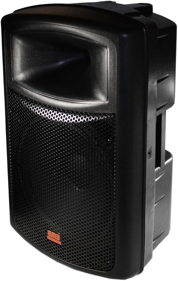 Amazon.com: EMB EB115BT Pro Single 15" 2-Way Powered Speaker with