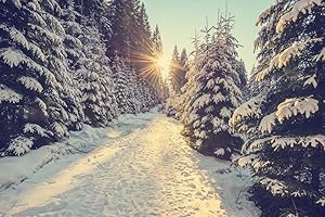 Sun Setting Snowy Mountain Trail Pine Trees Winter Sunset Photo Cool Wall Decor Art Print Poster 36x24