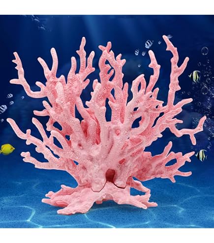Amazon.com: 裝飾石1 件天然白珊瑚化石簇水晶水族館景觀裝飾裝飾珊瑚礁