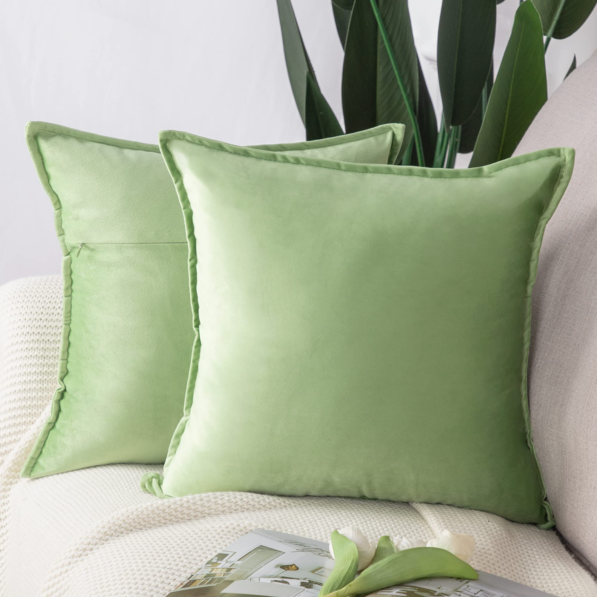 Madizz Pack of 2 Super Soft Velvet Decorative Cushion Covers with Fringe Luxury Style Cushion Case Pillow Shell for Sofa Bedroom Square Apple Green 22x22 inch, 55x55 cm