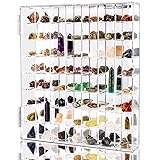 Adjustable Seashell Display Case Box Large Rock