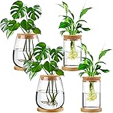 Layhit 4 Pcs Plants Propagation Stations vases Glass Planters with Wooden Lid and Bamboo Stand for Hydroponic Plants Gardening Gifts for Women Mom Home Office Tabletop Decoration(Classic Style)