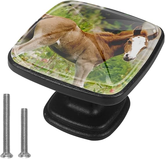 Tiradores de cajones Caballo animal Perillas de gabinete, paquete de 4