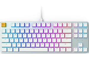 GLORIOUS PC GAMING RACE Glorious Custom Gaming Keyboard - GMMK 85% Percent TKL - USB C Wired Mechanical Keyboard - RGB Hot Swappable Switches & Keycaps - Silver/White Metal Top Plate