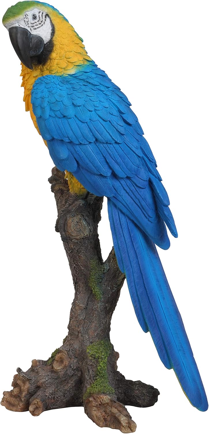 Vivid Arts - Real Life Exotic Birds Yellow Macaw Perched Home or Garden Decoration (XRL-MCW7-B)