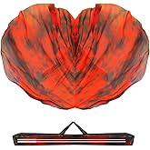 Baisdan 54"x54" Worship Flags for Dance Church, Praise Dance Flag for Worship, Silk-like Chiffon Flags with Flexible Rods & Storage Bag, Set of 2, Red-Black