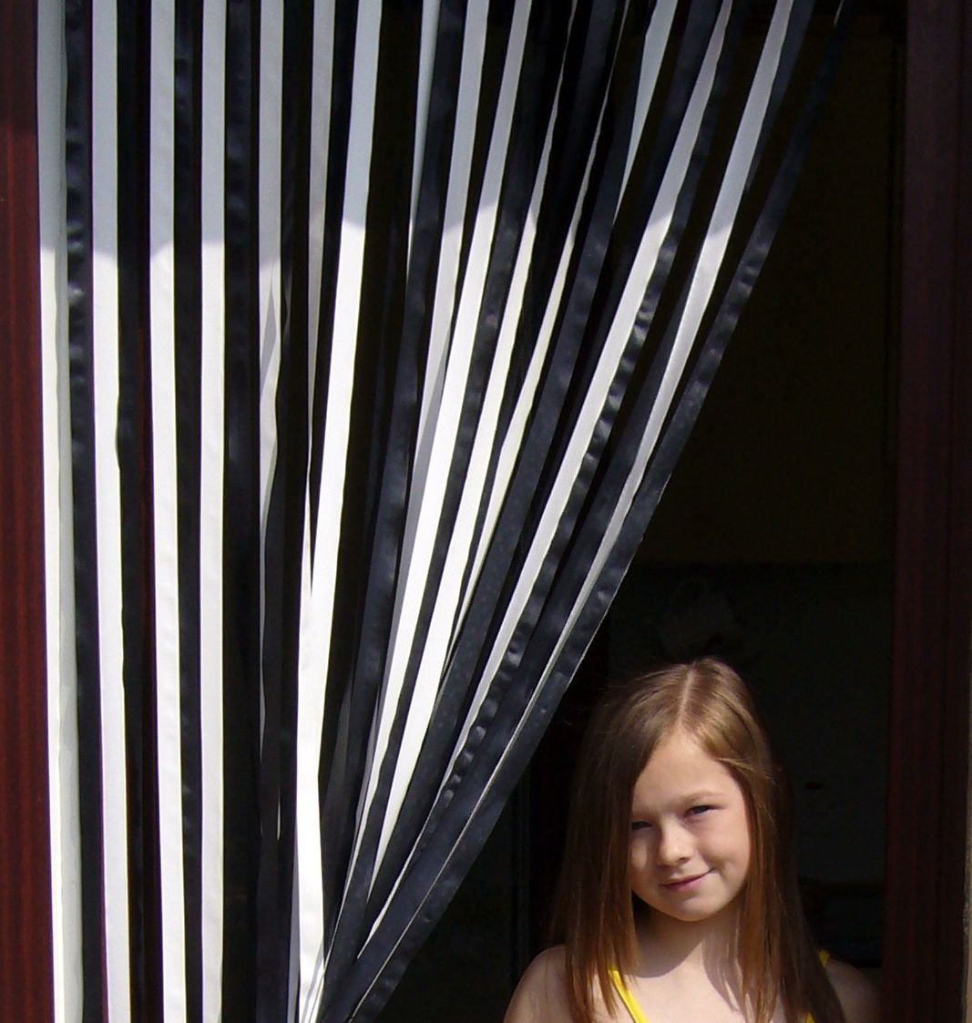 Heavy Duty Caravan/RV Door Curtain 62cm wide,Bug Blind,Fly Blind,Strip