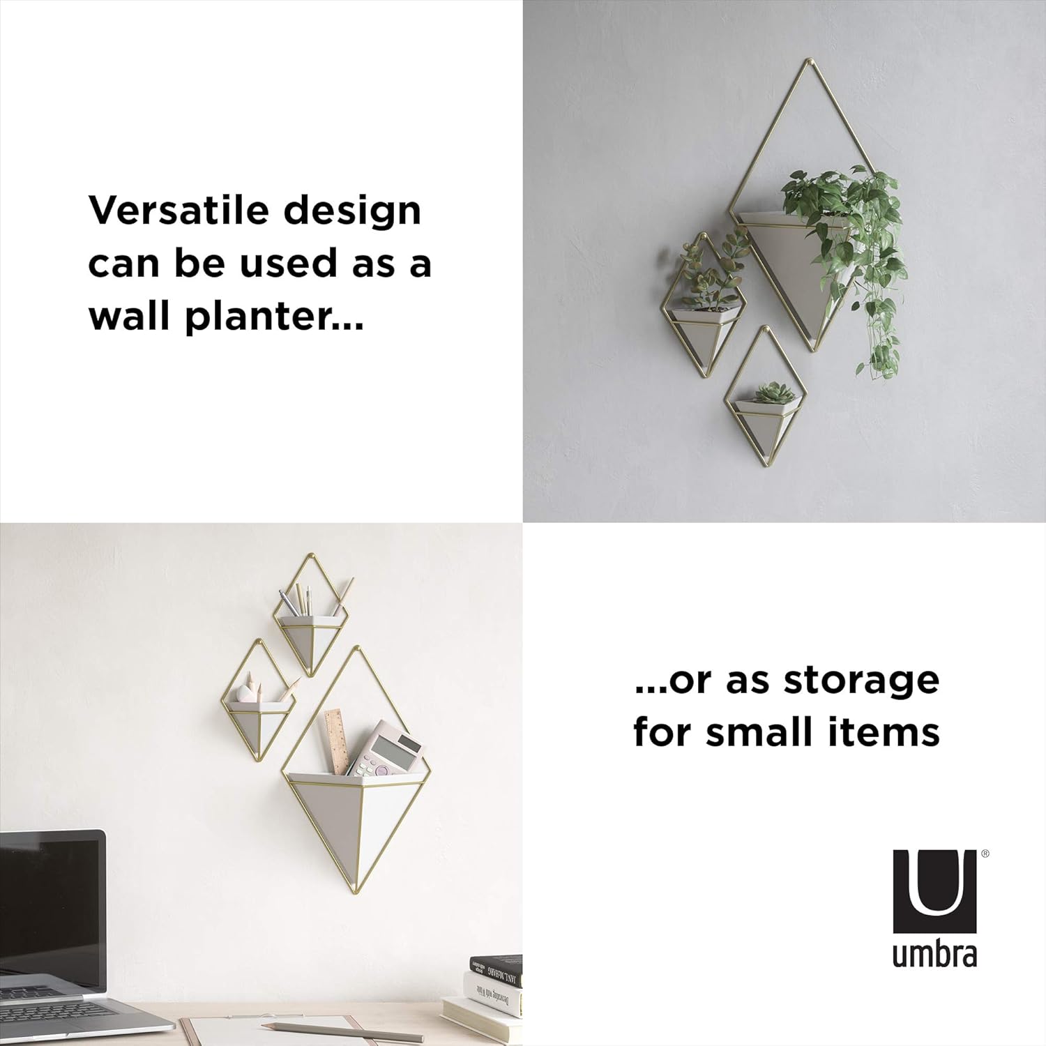 Umbra Trigg Hanging Planter Vase & Geometric Wall Decor Container, Small, White/Brass: Home & Kitchen