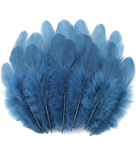 FeelfunFeather Lot De 120 Plumes D'Oie Naturelles Bleu Marine - 15-20cm Pour DIY, Décoration, Mariage