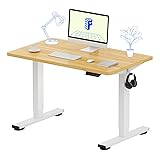 FLEXISPOT EN1 One-Piece Standing Desk 40 x 24