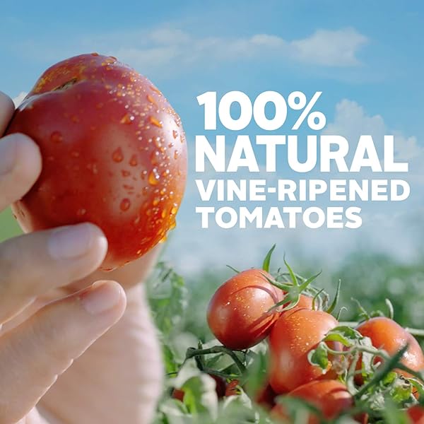 HUNT’S TOMATO SAUCE, PERFECT FOR CHILI & SOUPS, 33.5 OZ. CARTON