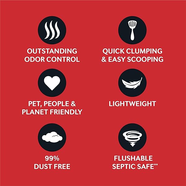 WORLD’S BEST CAT LITTER MULTIPLE CAT UNSCENTED, 15-POUNDS – NATURAL INGREDIENTS, QUICK CLUMPING, FLUSHABLE, 99% DUST FREE & MADE IN USA – LONG-LASTING ODOR CONTROL & EASY SCOOPING