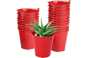 Biugaaufai 20 Pack 4 Inch Red Mini Metal Bucket, Elegant Galvanized Buckets with Handles, Tin Buckets, Small Iron Bucket, Mini Metal Pail for Party Favors, Crafts, Garden & Beach