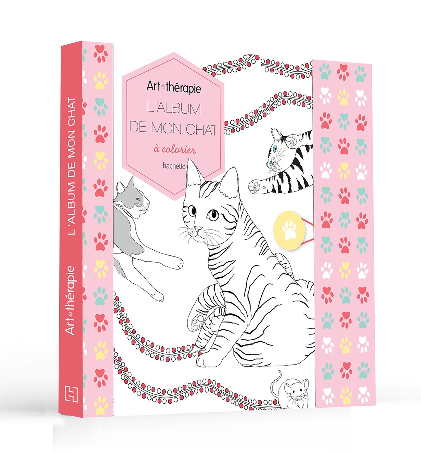 L Album De Mon Chat A Colorier Loisirs Sports Passions Delanssay Cathy Amazon Com Books