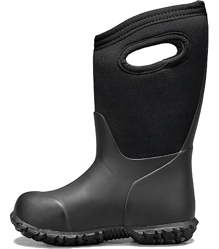 Amazon.com: DC Scout BOA Kid's Snowboard Boots : Clothing, Shoes