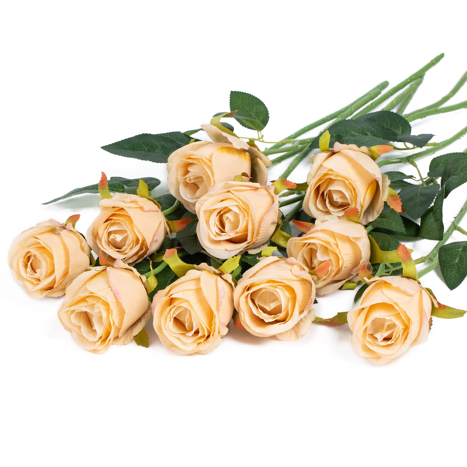 DuHouse 10pcs Artificial Silk Roses Flowers Single Long Stem Fake Rose Bouquet for Wedding Home Party Decoration Centerpieces(Champagne) — image 1