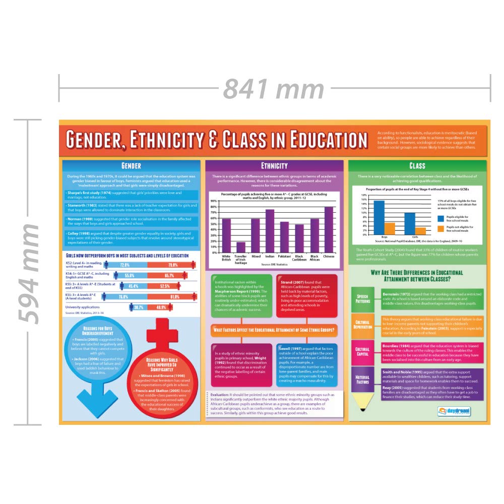 Daydream Education Gender, Ethnicity & Class in Education, Gender Class and Ethnicity in Education, 85L x 59.4W cm - Image 3