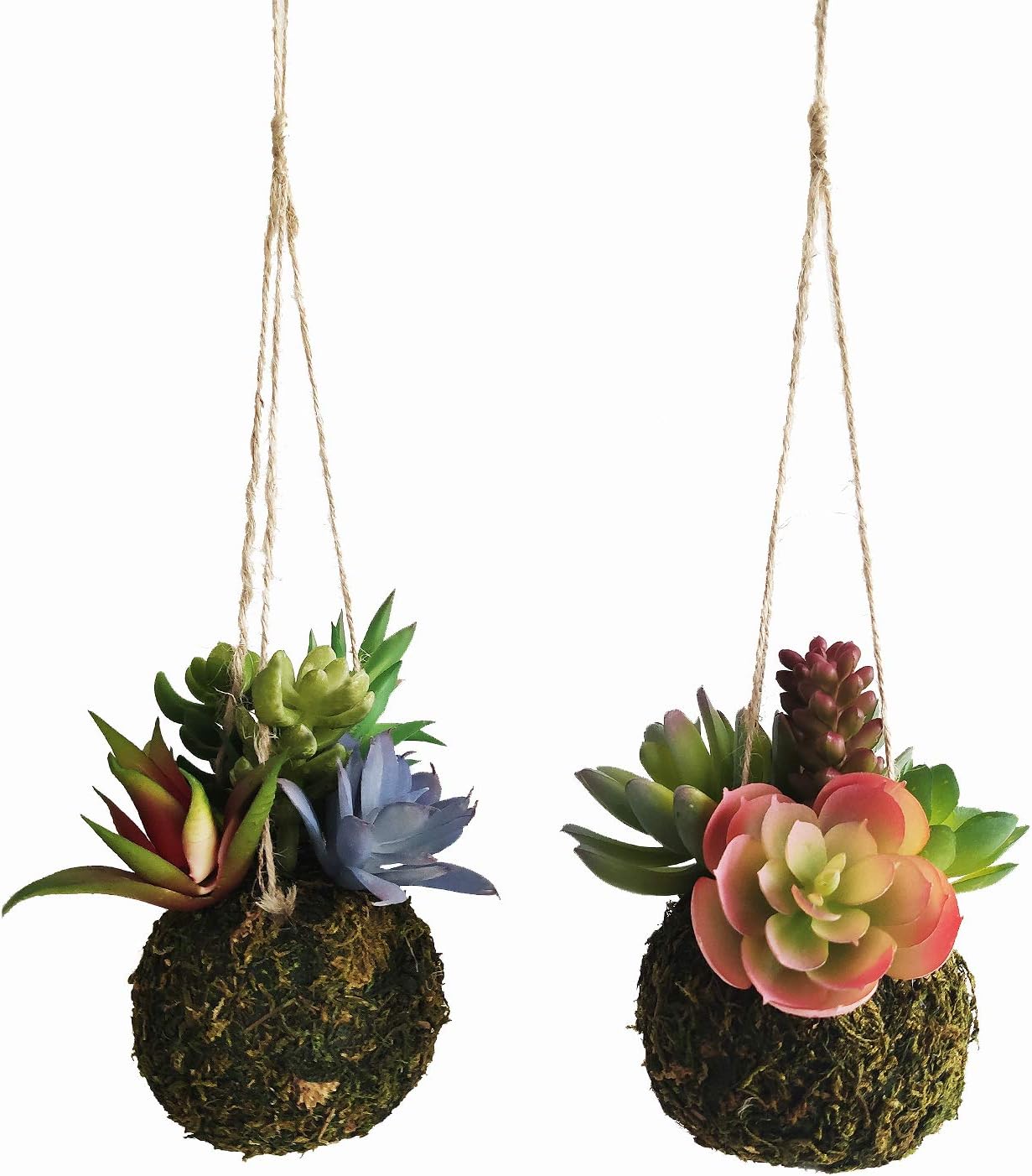 Set of 2 Hanging Artificial Succulent Plants Growing in