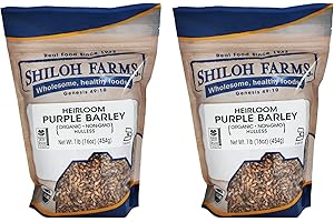 Shiloh Farms Heirloom Organic Hulless Purple Barley - Whole Grain - 16 Ounce Bag (Pack of 2) - ONE OF THE MOST NUTRITIOUS GRAINS ON EARTH!