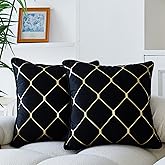 WACOMECO Gold Throw Pillow Covers, Pack of 2 Soft Velvet Decorative Cushion Covers for Couch Sofa Home Decoration, Black, 18x18 Inch