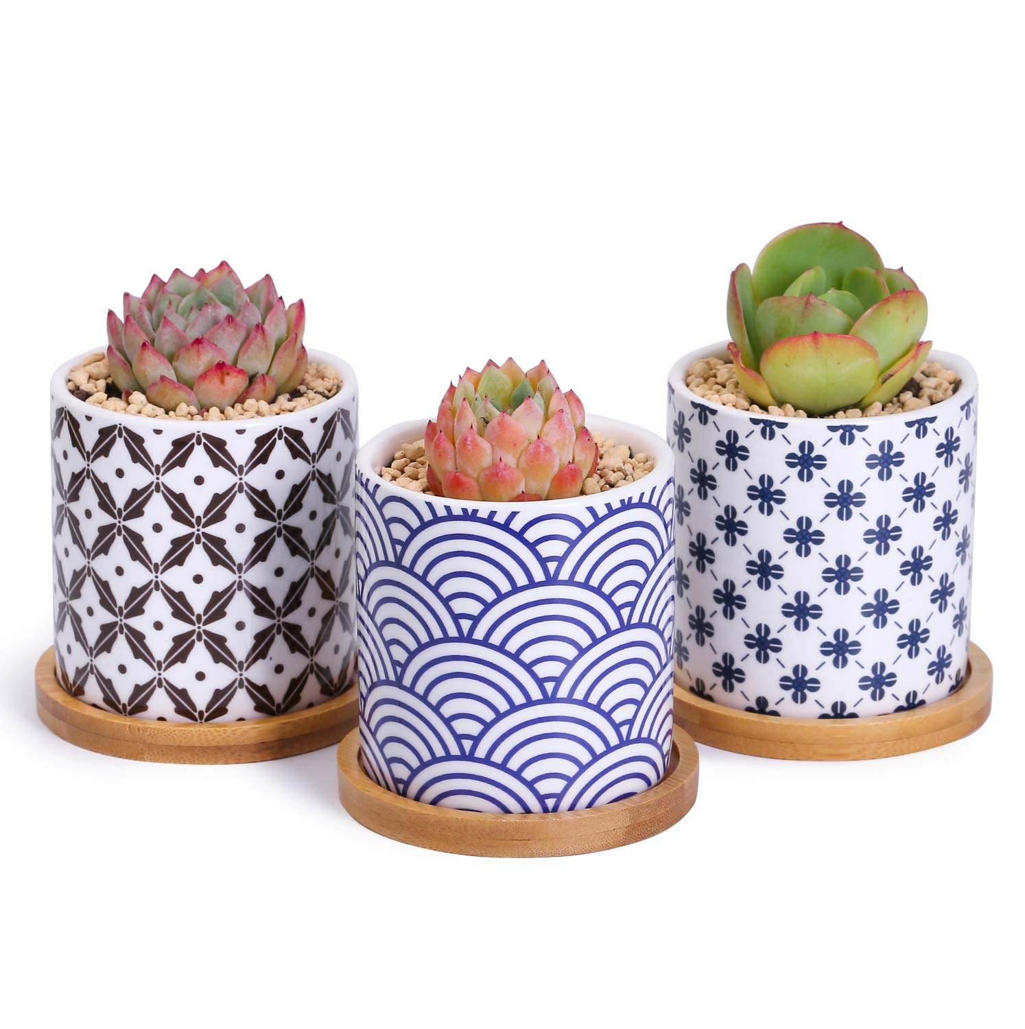Greenaholics Succulent Pots - 3 Inch Pattern Japanese Style Cylinder Ceramic Planters for Small Succulent, with Bamboo Saucers, Set of 3