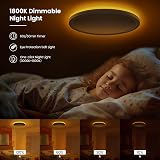 ONEWAY LED Ceiling Light 24W 2400lm Dimmable 1800K Night Light 3000-6500K view 3