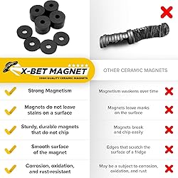 Heavy Duty Ring Magnets - Ultra Strong 1.2" Magnets