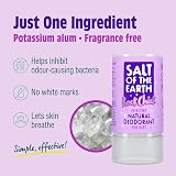 Salt Of The Earth Rock Chick Natural Deodorant Kids Fragrance Free 90g view 2