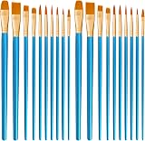 CNMTCCO 20 Pcs Paint Brush Set Nylon Hair Brushes for Acrylic, Oil, Watercolor