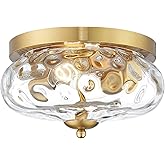 Darkaway Ceiling Light Fixtures Flush Mount Indoor Outdoor Ceiling Light with Water Ripple Glass Shade for Hallway Kitchen Be