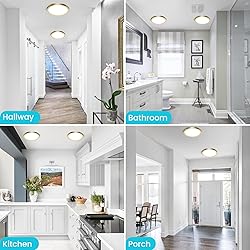 libtit 7 Inch Golden Flush Mount Ceiling Light, 15W