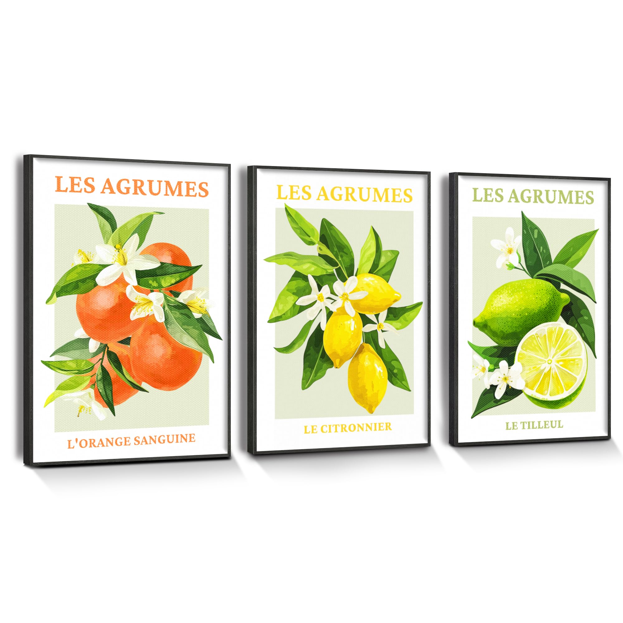 hyidecorart Citrus Fruit Canvas Wall Art with Black Frame, Modern Fruit Lemon Blood Orange Wall Pictures Living Room Farm Garden Decoration Kitchen Dining Room Bedroom Bathroom and Office — image 1