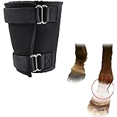 tinkare Coronet Fetlock Shield for Horse Neoprene Bedsore Boot Fetlock Sores Protector Single