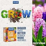 Phostrogen All Purpose Plant Food 400g Fertiliser for Indoor Garden view 2